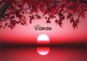 Mantel de restaurante