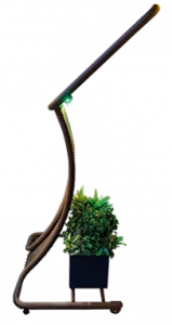 Elegante curvatura en acero